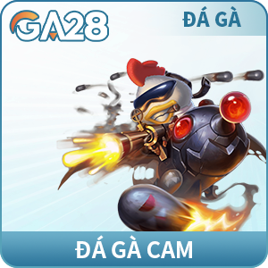 Đá gà