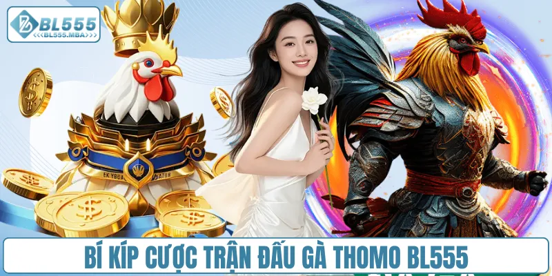 Đá Gà Thomo – Cược Nhanh Và Nhận Thưởng Hấp Dẫn Tại BL555 4 Bí kíp cược trận đấu gà Thomo BL555