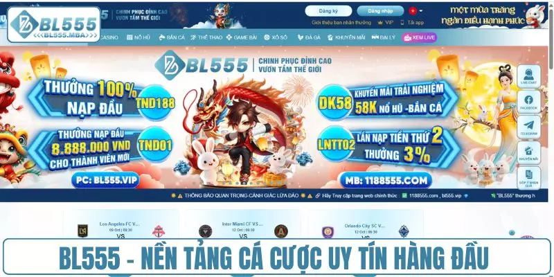 Câu Hỏi Thường Gặp 2 BL555 - Nền tảng cá cược uy tín hàng đầu Việt Nam
