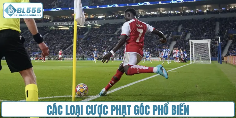 Kèo Phạt Góc Có Những Loại Nào Và Cách Đọc Chuẩn Nhất 2 Các loại cược phạt góc trong cá độ