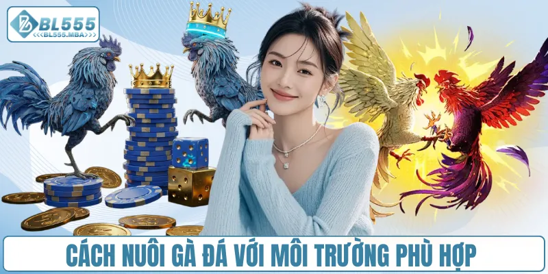 Chia Sẻ Cách Nuôi Gà Đá Hiệu Quả Cho Người Chơi Tại BL555 4 Cách nuôi gà đá với môi trường phù hợp