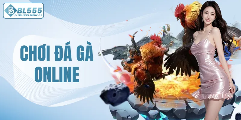 Chơi Đá Gà Online – Trải Nghiệm Cá Cược Kịch Tính Tại BL555 5 Chơi đá gà online