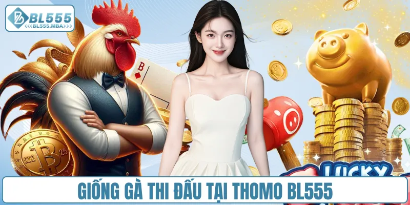 Đá Gà Thomo – Cược Nhanh Và Nhận Thưởng Hấp Dẫn Tại BL555 3 Giống gà thi đấu tại Thomo BL555