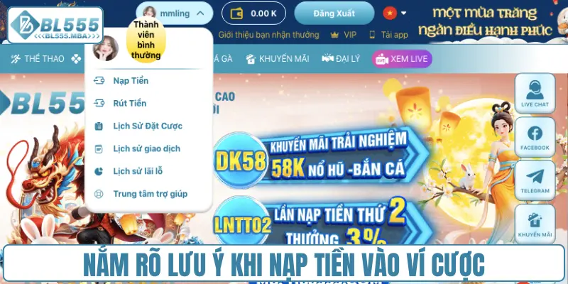 Nạp Tiền Bl555 Cực Đơn Giản Qua 3 Kênh Giao Dịch Phổ Biến 3 Nắm rõ lưu ý khi nạp tiền trực tuyến vào ví cược
